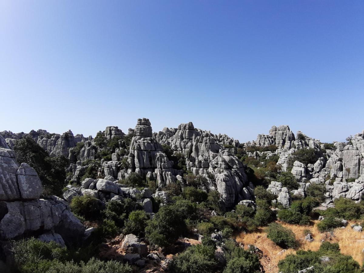Casa Rural La Parada La Joya Dış mekan fotoğraf