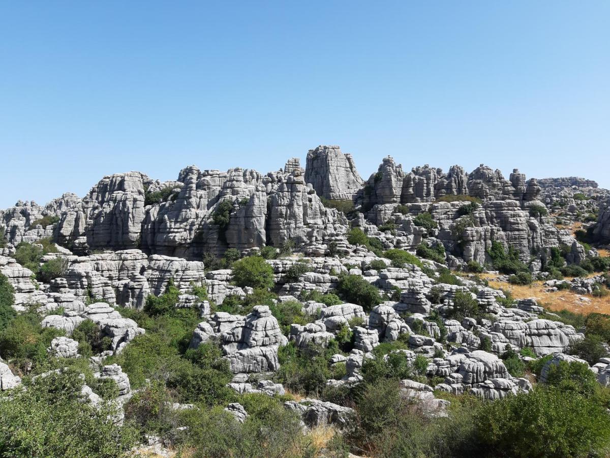 Casa Rural La Parada La Joya Dış mekan fotoğraf
