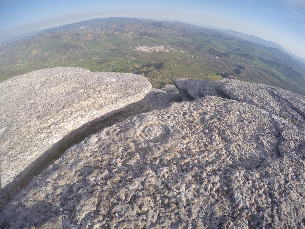 Casa Rural La Parada La Joya Dış mekan fotoğraf