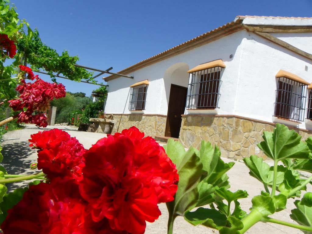 Casa Rural La Parada La Joya Dış mekan fotoğraf