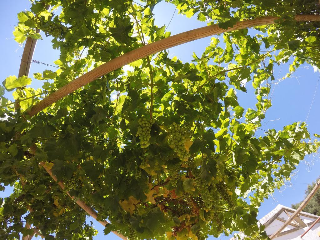 Casa Rural La Parada La Joya Dış mekan fotoğraf